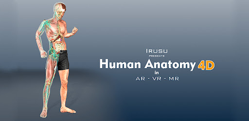 Human Anatomy VR/AR/MR Guide