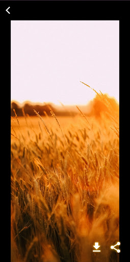 Android application HD Wallpapers Lock Screen screenshort