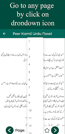 Peer Kamil Urdu Novelのおすすめ画像5