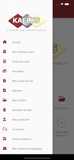 Kaelys Expertise Comptable Screen 3