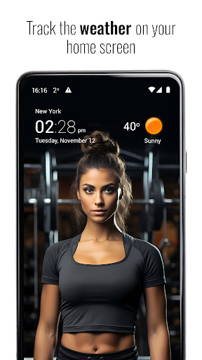 Transparent clock weather Pro 1