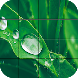 Water Drop Puzzle Games icon