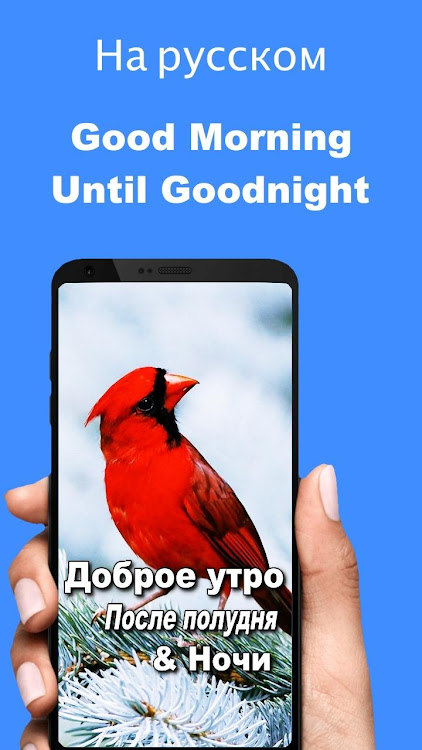 Russian Good Morning to Night - 9.12.00.8 - (Android)
