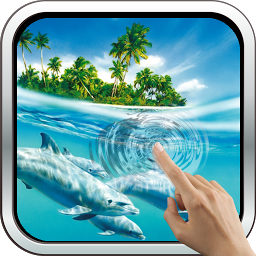Symbolbild für Magic Touch: Dolphins