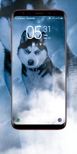 Siberian Husky Wallpaper Apps On Google Play