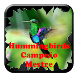 Hummingbirds Campeão Mestre icon