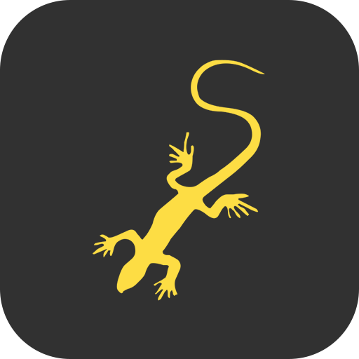 SóCarrão Leads logo