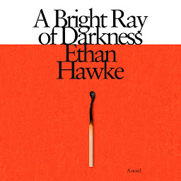 Icon image A Bright Ray of Darkness: A novel