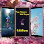 New Top Flowers Wall Papers