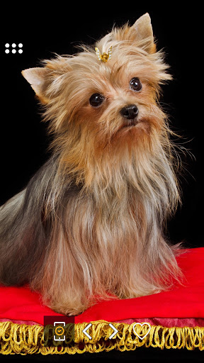 アプリのプレビュー