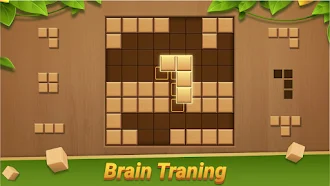 Game screenshot Block Puzzle - Wood Blast hack