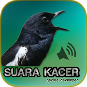 Kacer Gacor Masteran 1.0 Icon