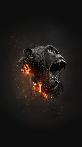 HD Wallpaper Screen 3