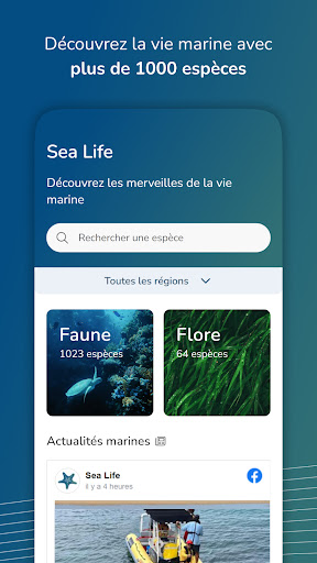 SeaLife: Explore la vie marine Screen 2