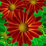 Beautiful flowers on green icon