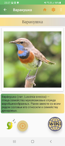 Птицы России Screen 2