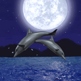 Dolphin Night icon