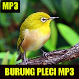 Suara Burung Pleci Mp3 icon