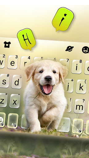 Labrador Puppy Keyboard Backgr Screen 2