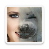 Animal Face Morphing icon