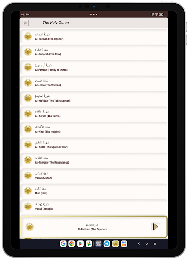 Screenshot 13