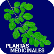 Plantas Medicinales y Sus Usos Gratis