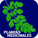 Plantas Medicinales y Sus Usos Gratis Изтегляне на Windows