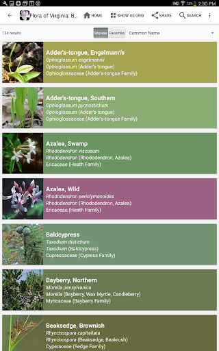 Screenshot of Flora of Virginia
