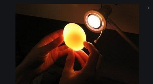 Scientific experiments. Science at home