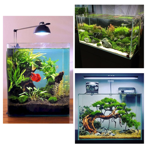 Aquarium Design Ideas Download on Windows