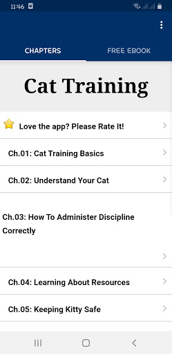 Cat Training Screen 2