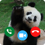 Cover Image of Download Baby Panda Prank Video Call  APK