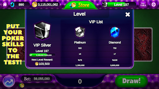 Flush Frenzy : Video Poker Screen 3