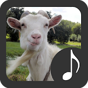 Top 20 Entertainment Apps Like Goat Sounds - Best Alternatives