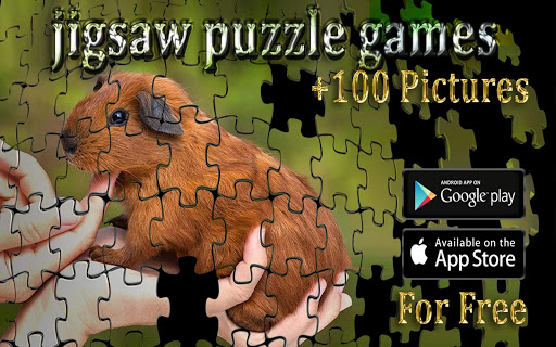 guinea pig jigsaw puzzle game for Adults - v1.0