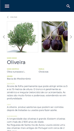 Apadrinhe uma Árvore