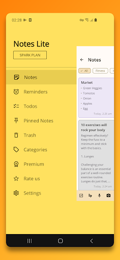 App preview