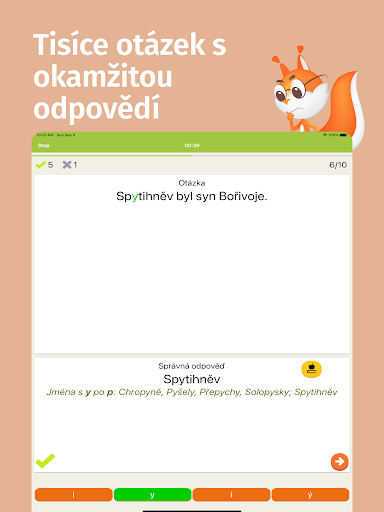 Screenshot of Czech grammar