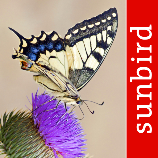 Butterfly Id - British Isles 2.9.6 Icon