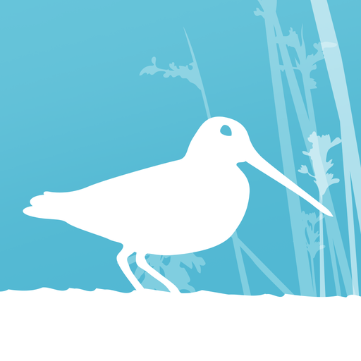 Jerrabomberra Wetlands logo