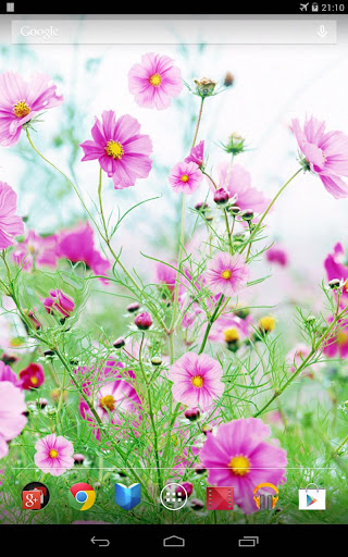 Sweet Flowers Live Wallpaper Screen 3
