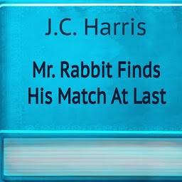Icon image Mr. Rabbit Finds His Match At Last