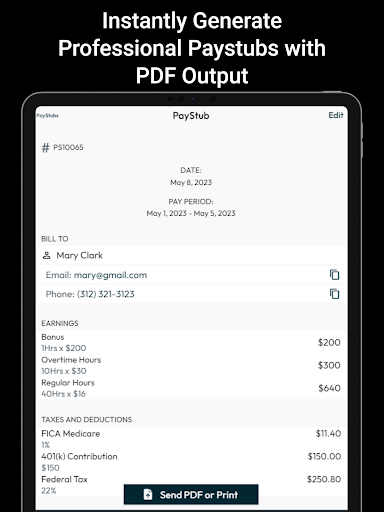 PayStub: PaySlip PDF Generator 20