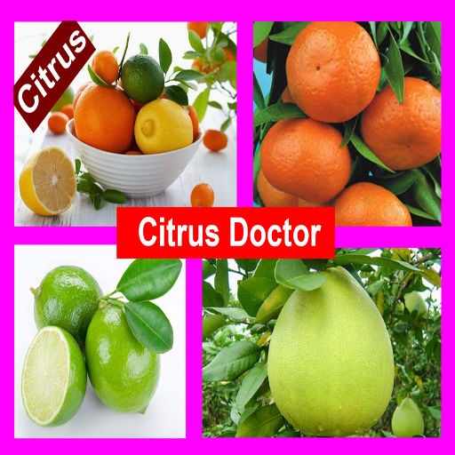 Citrus Doctor~সাইট্রাস ডক্টর 2.2 Icon