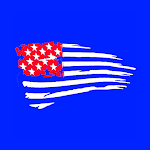Cover Image of Unduh American Browser  APK