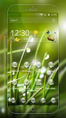 自然がテーマをドロップ 健康な緑雨緑の葉の壁紙 Androidアプリ Applion