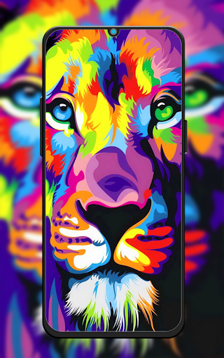 Colors Colorful Wallpaper