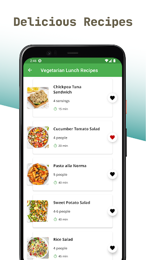 Vegetarian Lunch Recipes Screen 2