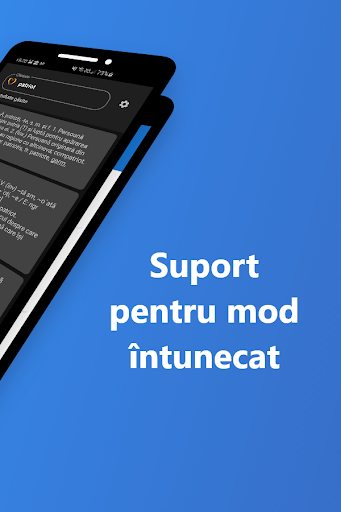 DEX - dictionar roman Screen 2