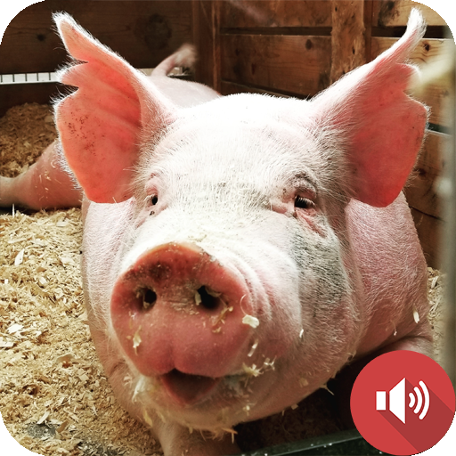 Pig Sounds logo